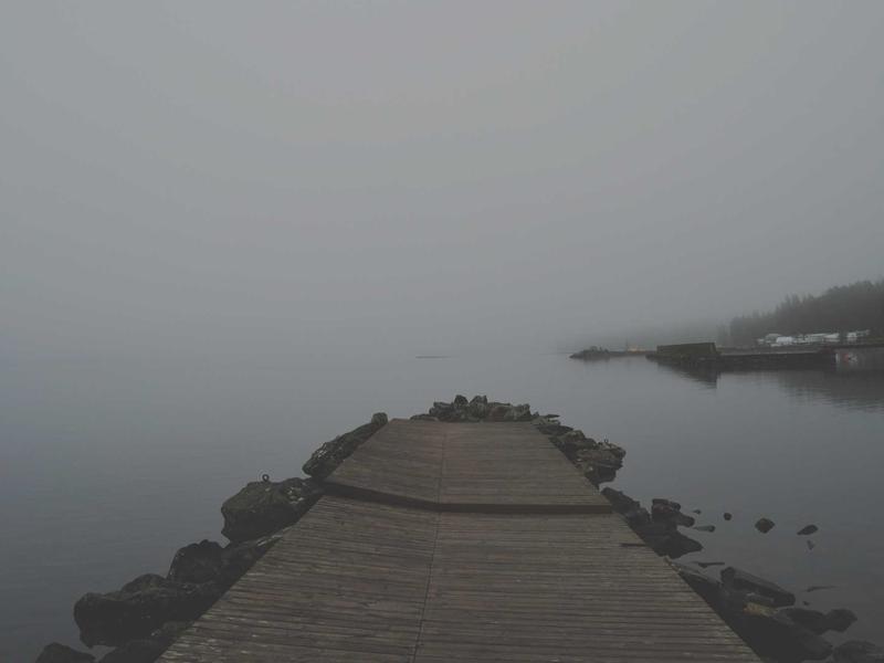 五缘湾湿地公园