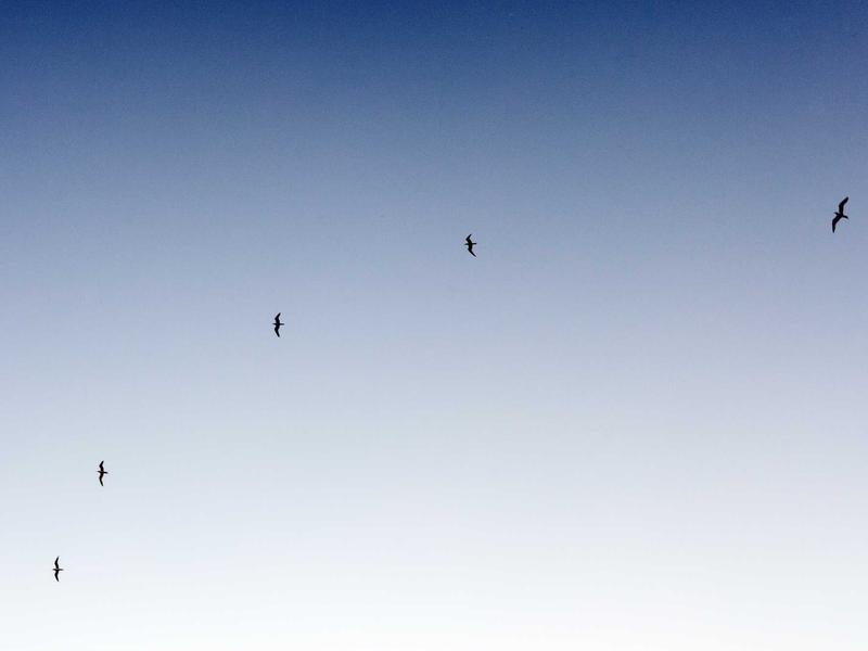海湾公园